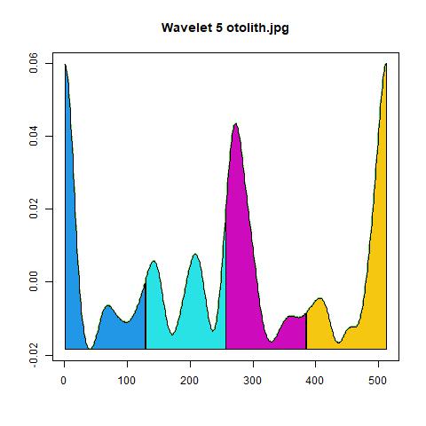 Wavelet Transform (Scale 5)